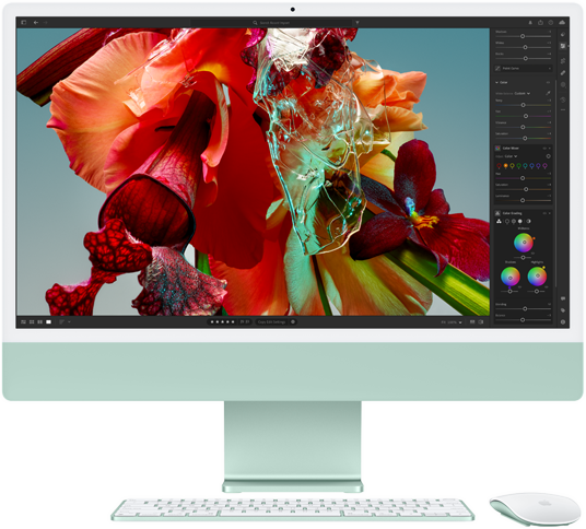 iMac-skærm, der viser en farverig blomst i Adobe Lightroom for at demonstrere 4,5K Retina-skærmens farveområde og opløsning.