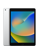 iPad (9. generation)