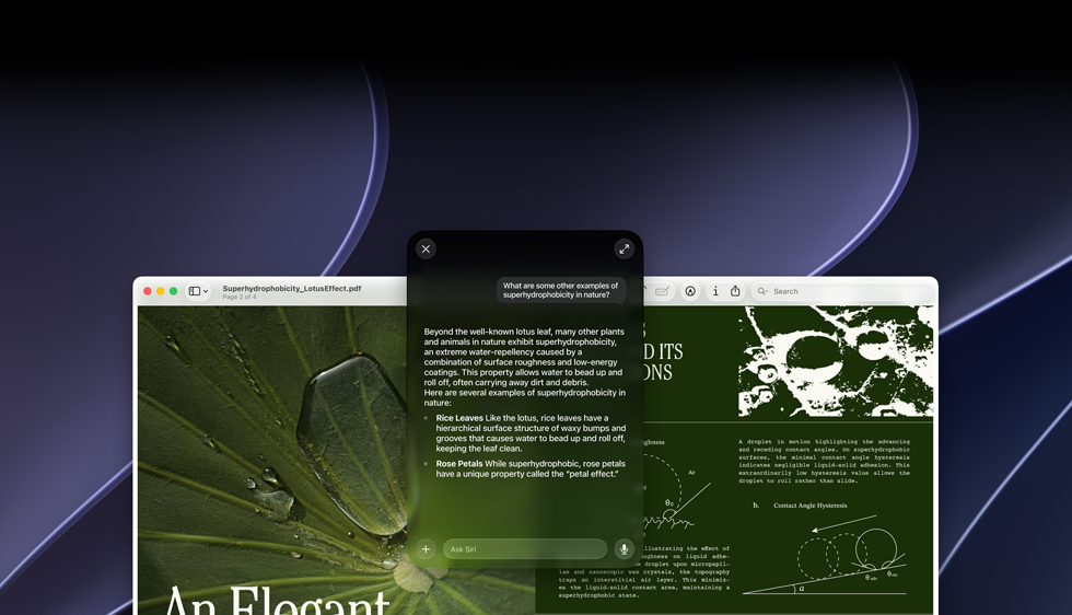 Demonstration af Siri og Visuel intelligens, brugeren spørger om et emne i en PDF på en Mac-skærm, Kan du give mig andre eksempler på superhydrofobe egenskaber i naturen?, Siris svar