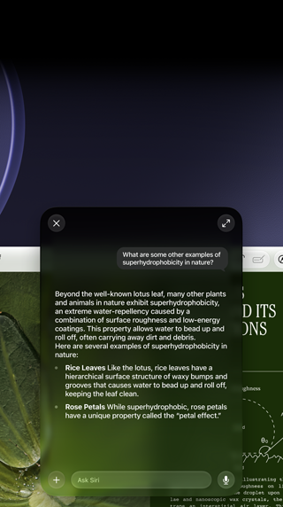 Demonstration af Siri og Visuel intelligens, brugeren spørger om et emne i en PDF på en Mac-skærm, Kan du give mig andre eksempler på superhydrofobe egenskaber i naturen?, Siris svar
