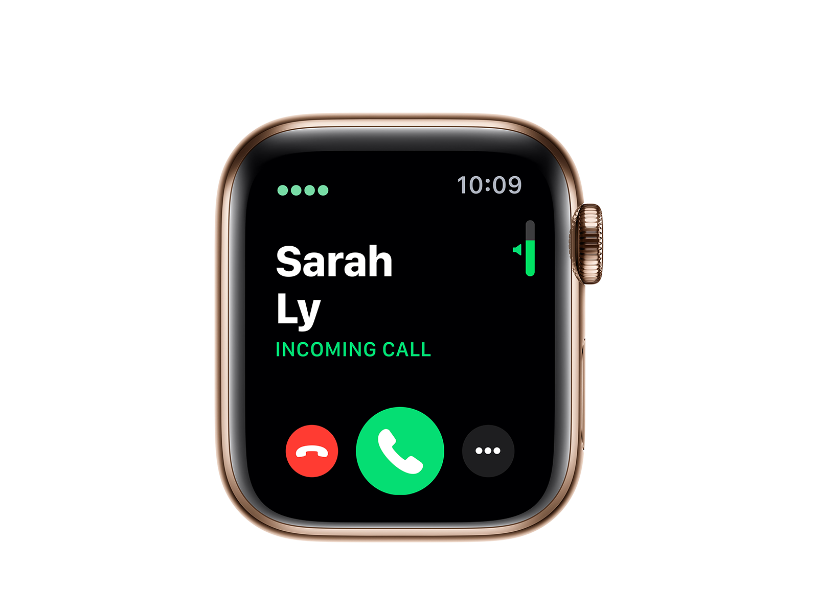 Køb Apple Watch Series 5 + Cellular 40mm Gold Stainless ...