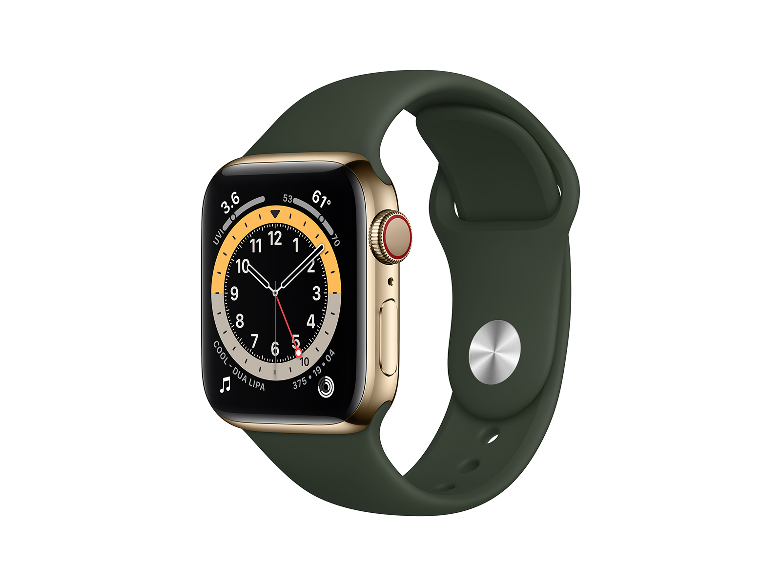 Køb Apple Watch Series 6 + Cellular 40mm Gold Stainless S ...