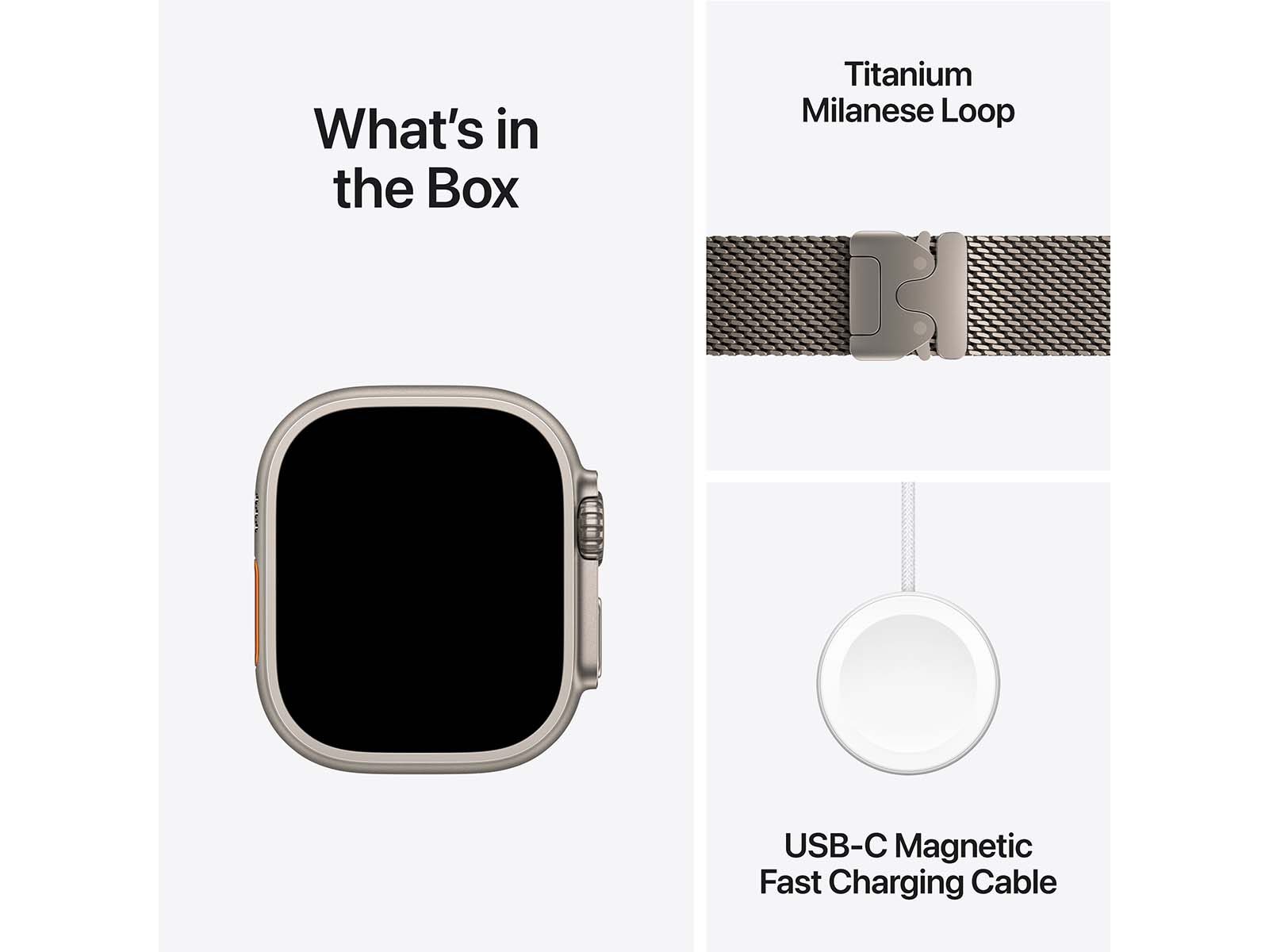 Apple Watch Ultra 2 49mm Natural Titanium with Natural Titanium Milanese Loop