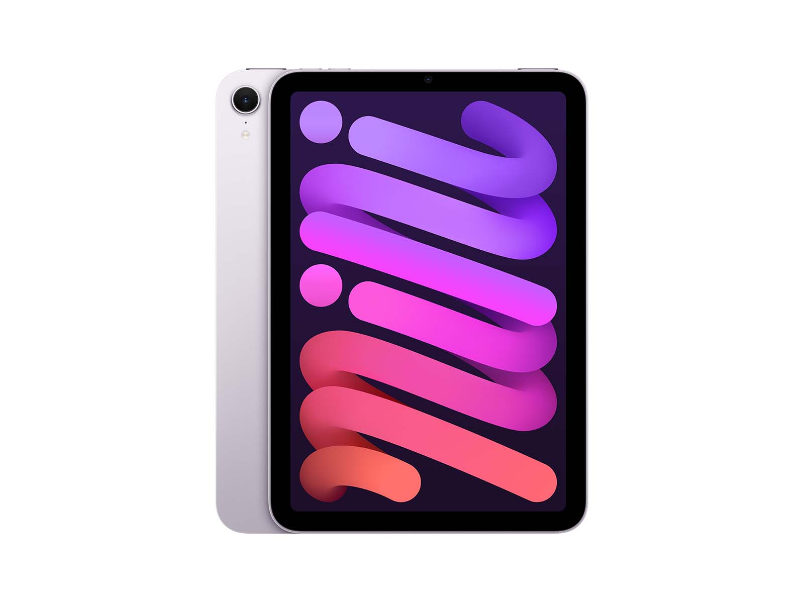 iPad mini Wi-Fi 256GB - Purple