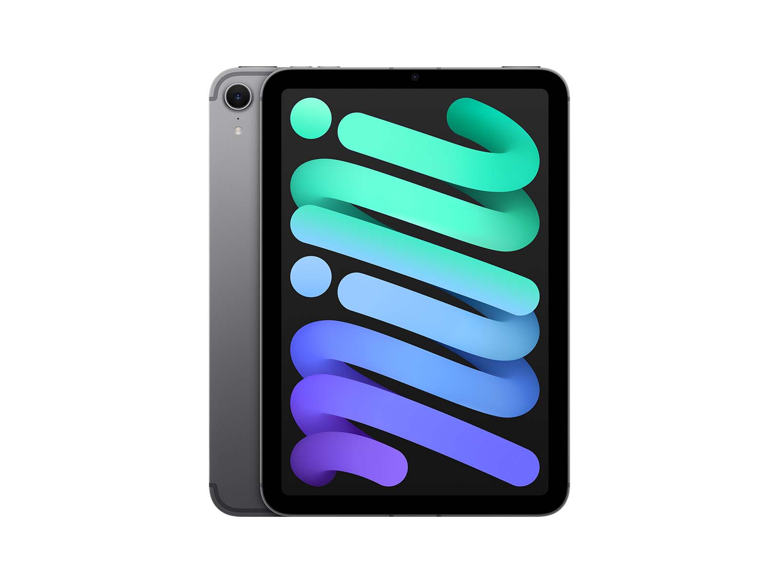 iPad mini Wi-Fi + Cellular 128GB - Space Grey