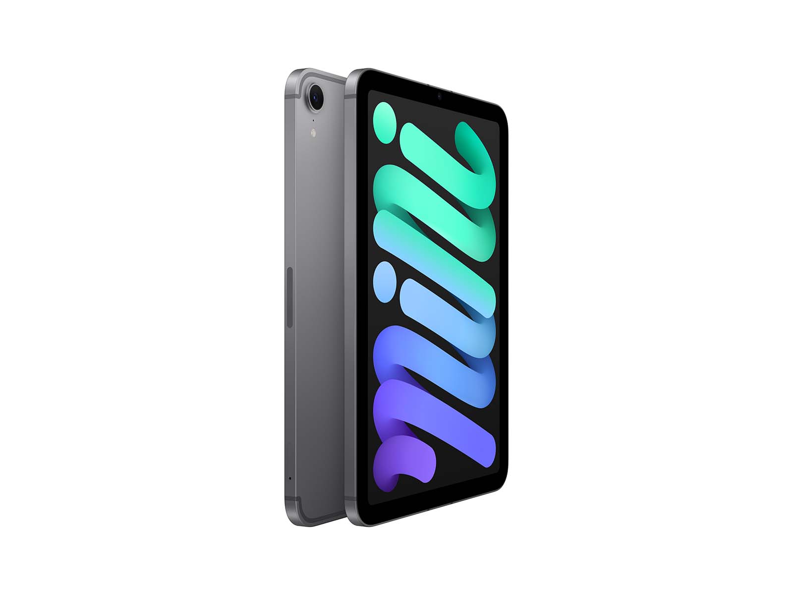 iPad mini Wi-Fi + Cellular 256GB - Space Grey