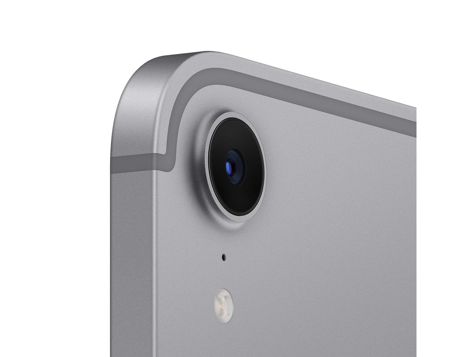 iPad mini Wi-Fi + Cellular 256GB - Space Grey