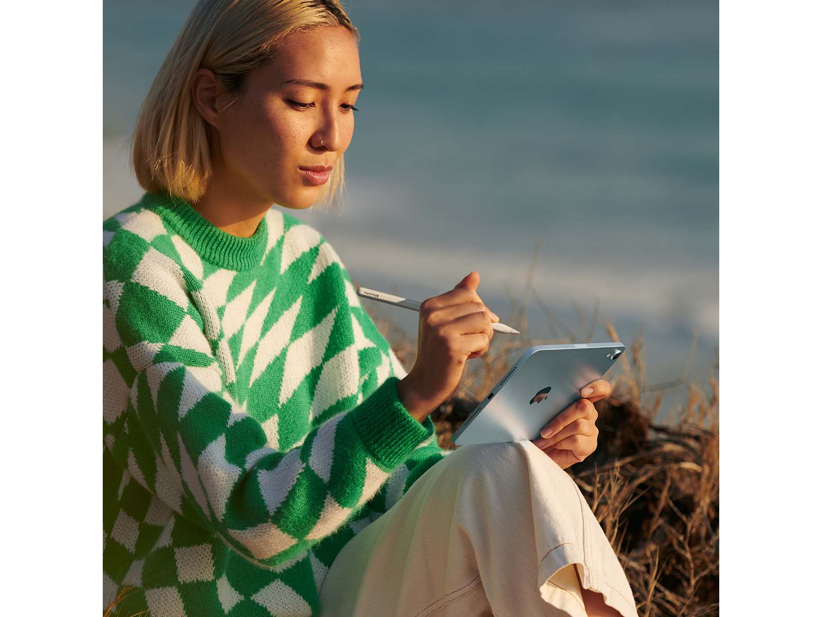 Lifestyle iPad mini Wi-Fi + Cellular 256GB - Space Grey